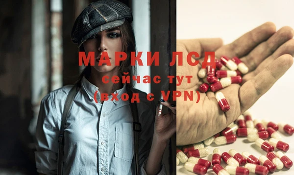 ПСИЛОЦИБИНОВЫЕ ГРИБЫ Магас
